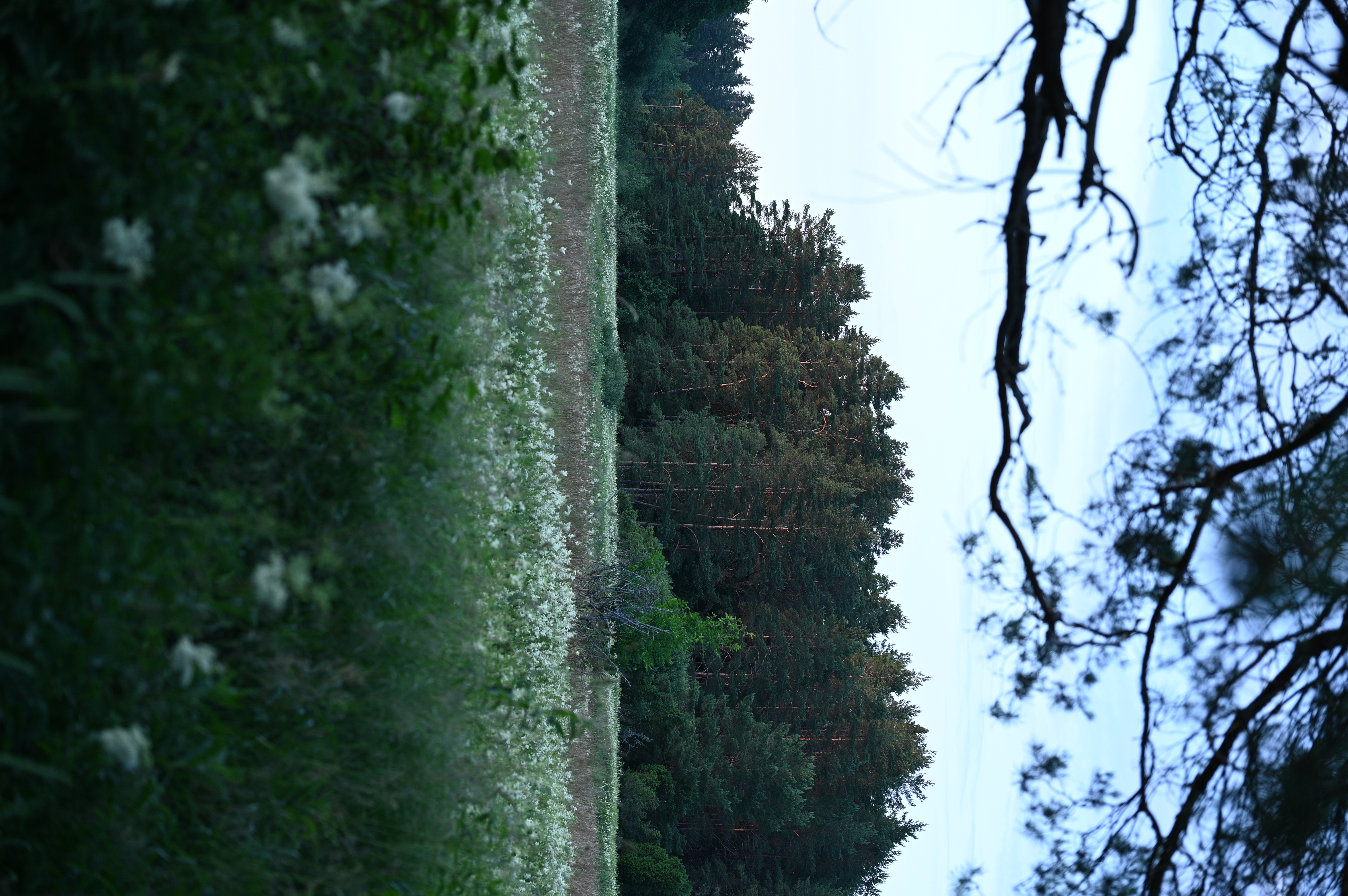 2025/07/09-14 - trip/DSC_0092.JPG